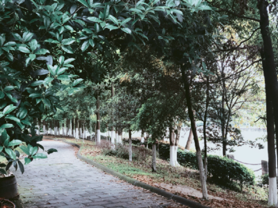 懷念青春年少的句子 懷念逝去的青春的句子語錄