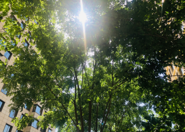 關于夏天說說心情短語 表達夏天心情的說說