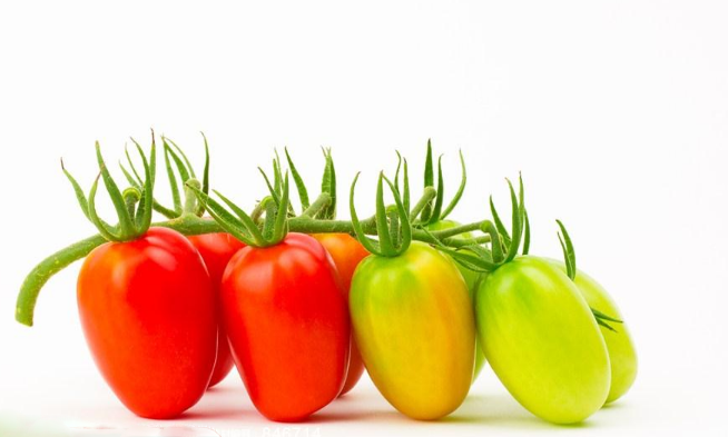 哪些食物引起食物中毒 如何正確挑選食物避免中毒 哪些食物引起食物中毒 如何正確挑選食物避免中毒