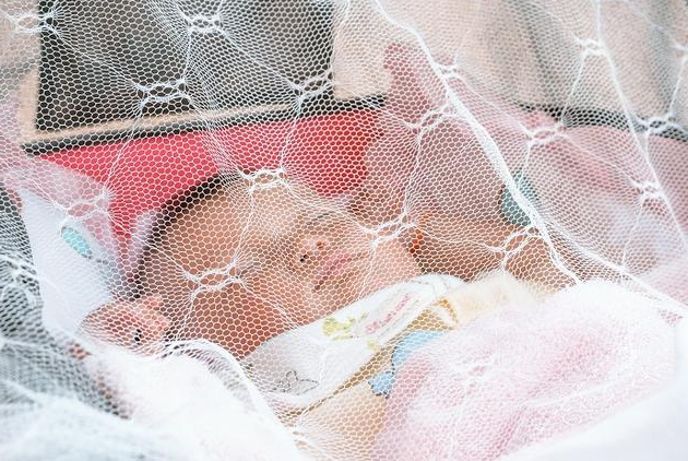 怎么給孩子選安全的驅蚊產品 不同年齡孩子驅蚊方法 怎么給孩子選安全的驅蚊產品 不同年齡孩子驅蚊方法