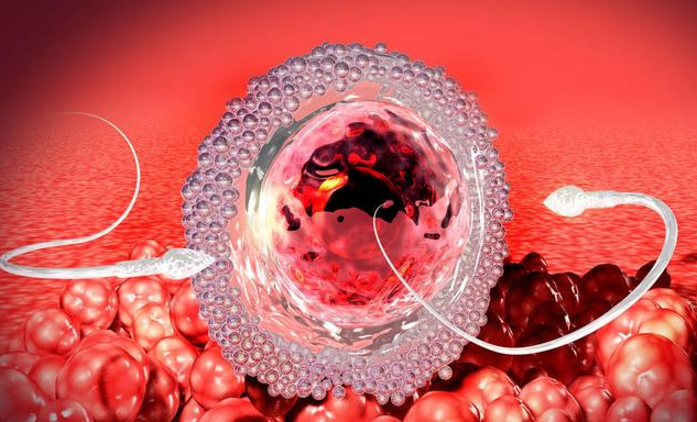 哪些女性更容易得宮頸癌 早期宮頸癌怎么治療 哪些女性更容易得宮頸癌 早期宮頸癌怎么治療