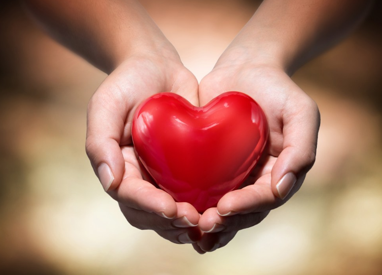 如何培養(yǎng)出懂得感恩的孩子 從小教孩子感恩的方法