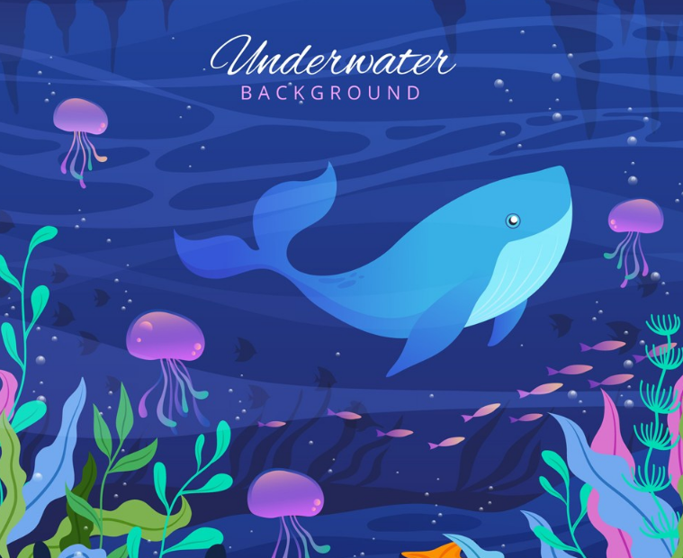 怎么跟孩子解釋鯨魚噴水 孩子對鯨魚噴水有疑問怎么解答