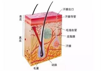 孩子為什么會(huì)長(zhǎng)痱子 孩子的痱子有哪幾種