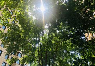 關于夏天說說心情短語 表達夏天心情的說說