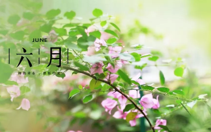 迎接六月的第一天說說 迎接六月的第一天心情句子