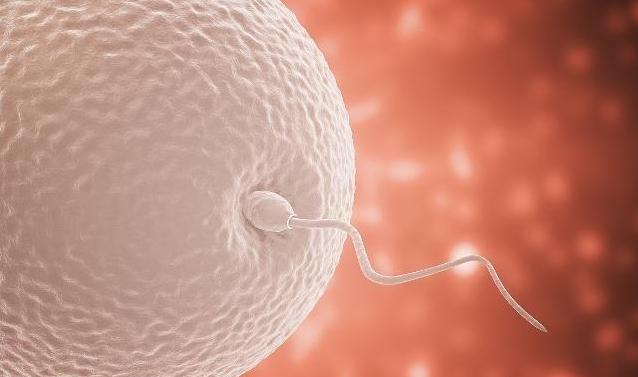 備孕為什么提前三個月 備孕前要注意什么