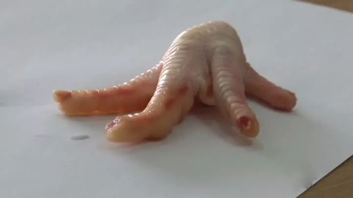 炸包究竟有多危險(xiǎn) 為什么嚴(yán)禁孩子玩炸包 炸包究竟有多危險(xiǎn) 為什么嚴(yán)禁孩子玩炸包