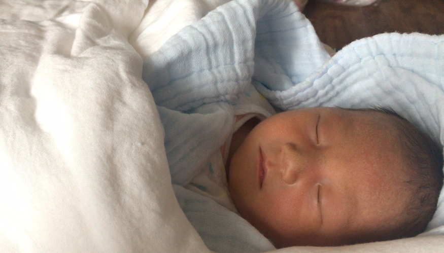 養兒不易的感慨句子 養兒不易的感慨語句說說