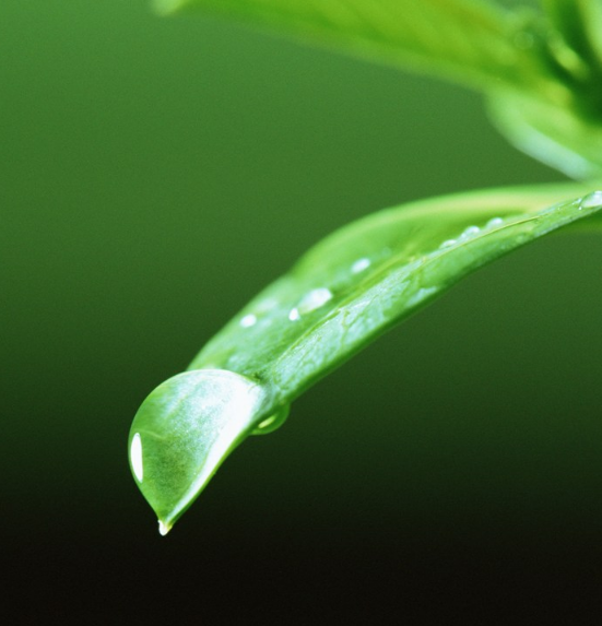 孩子每天喝多少水比較好 應(yīng)該給孩子喝多少水 孩子每天喝多少水比較好 應(yīng)該給孩子喝多少水