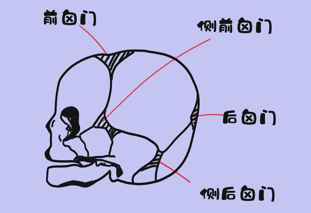 孩子囟門不能摸嗎 孩子囟門哪些情況要注意 孩子囟門不能摸嗎 孩子囟門哪些情況要注意
