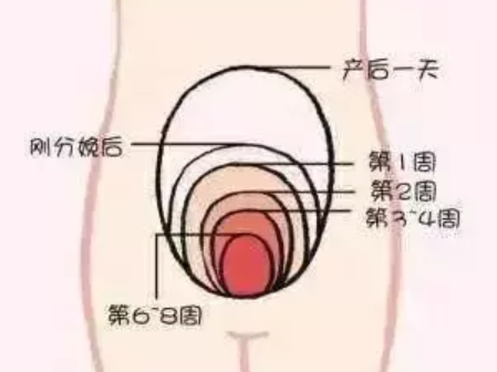 產后月經量少是什么原因 產后月經量少會導致不孕嗎