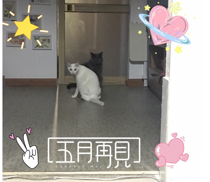 五月再見心情感慨 再見五月應該發什么東西比較好