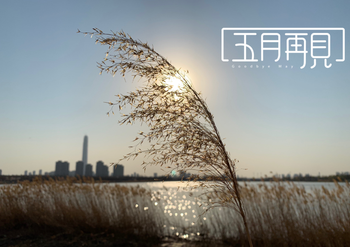 2019五月再見說說朋友圈 關于五月再見句子說說 2019五月再見說說朋友圈 關于五月再見句子說說