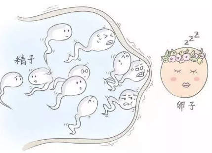 外用避孕藥是否還要取出 外用避孕藥注意事項