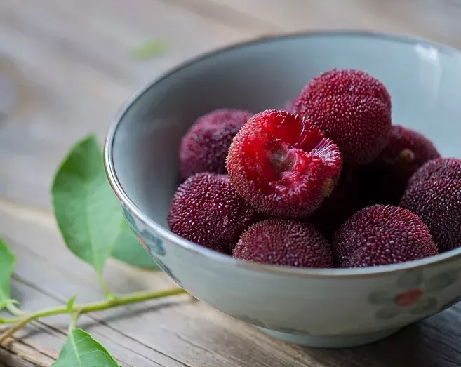 孕婦能吃楊梅嗎 楊梅上有小蟲子能吃嗎