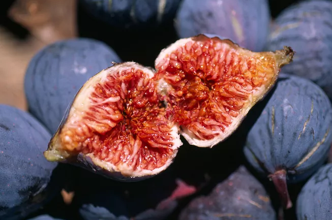 孕婦吃無(wú)花果可以去胎毒嗎 孕婦怎么吃無(wú)花果比較好 孕婦吃無(wú)花果可以去胎毒嗎 孕婦怎么吃無(wú)花果比較好