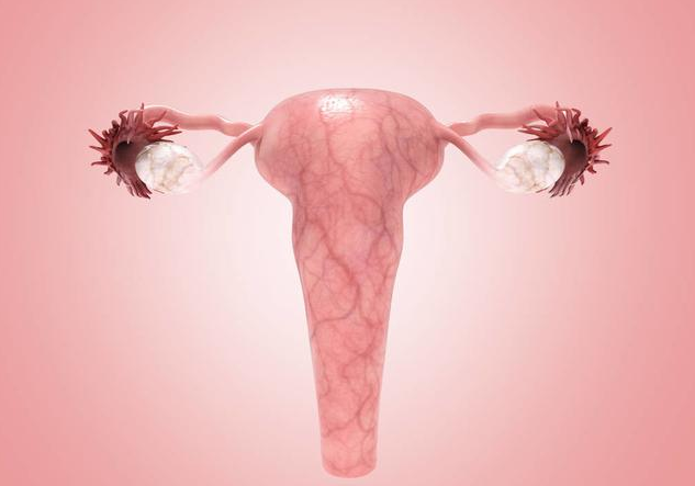 白帶發黃是什么原因 白帶發黃有哪些癥狀