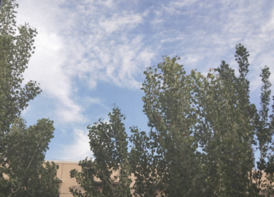 醒的太早圖片搞笑圖片 醒的太早了吧的說(shuō)說(shuō) 醒的太早圖片搞笑圖片 醒的太早了吧的說(shuō)說(shuō)