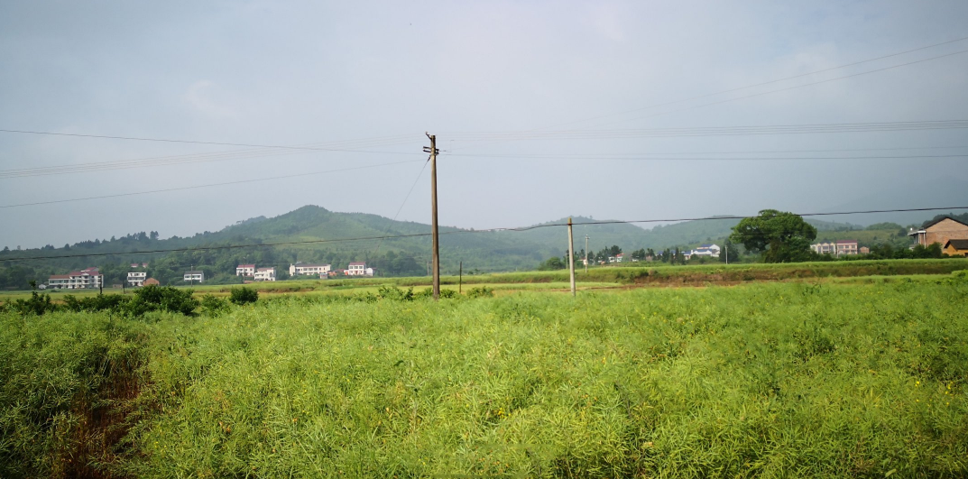 陪孩子自駕游說說 陪孩子自駕游心情句子