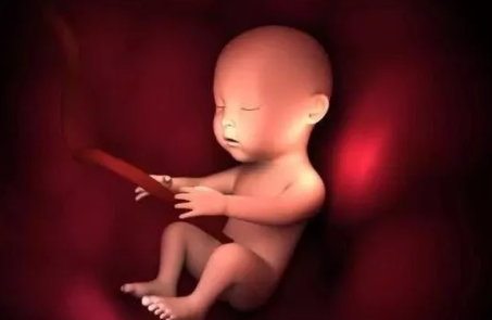 2019年5月31日懷孕生男生女 農歷四月二十七懷孕是男孩還是女孩