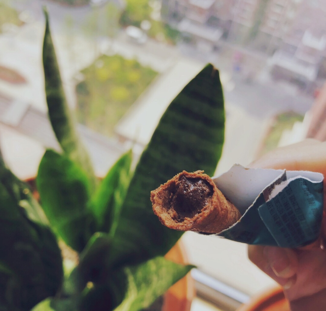 今日芒種明日高考說說 今日芒種心情感慨