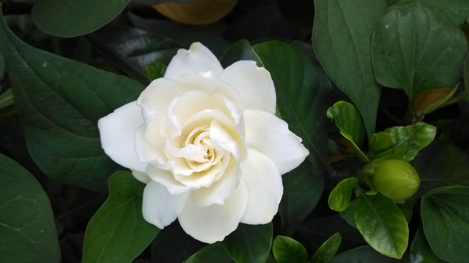 今日芒種明日高考說說 今日芒種心情感慨