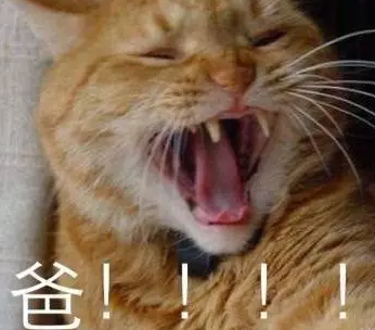 父親節可愛專屬表情包2019 父親節快樂套路爸爸表情圖