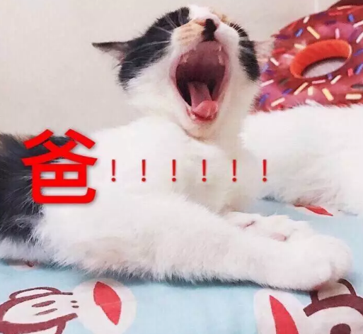 父親節可愛專屬表情包2019 父親節快樂套路爸爸表情圖