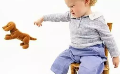 寶寶反復(fù)扔?xùn)|西怎么回事 寶寶喜歡撿在地上的小東西什么原因