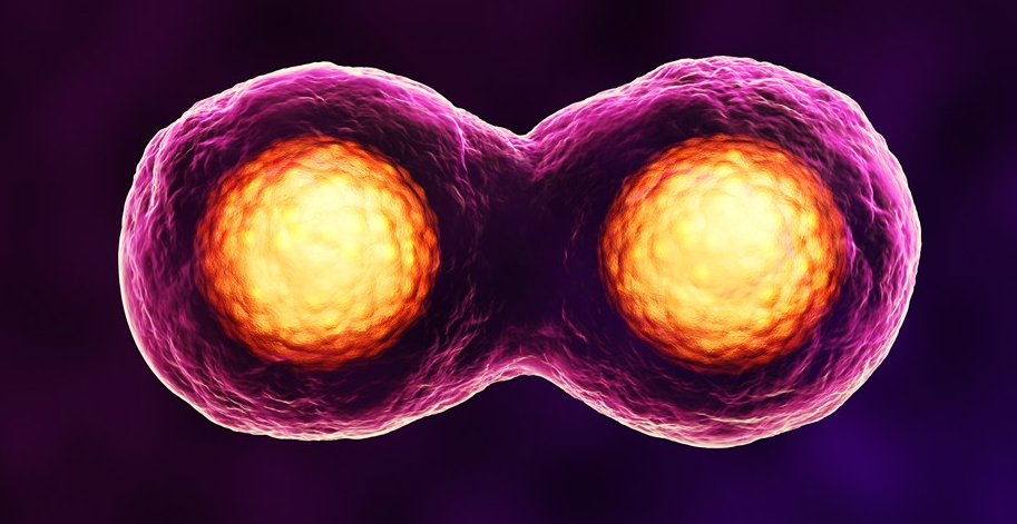 做試管是不是一定不會(huì)宮外孕 宮外孕是不是做試管嬰兒就能避免