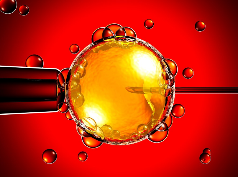 做試管是不是一定不會(huì)宮外孕 宮外孕是不是做試管嬰兒就能避免