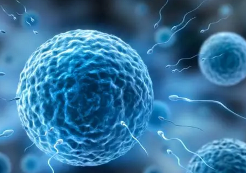 男性精子活力低有哪些表現 精子活力低能懷孕嗎