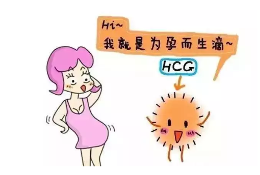 孕酮正常HCG翻倍不好怎么回事 孕酮正常HCG翻倍不好原因