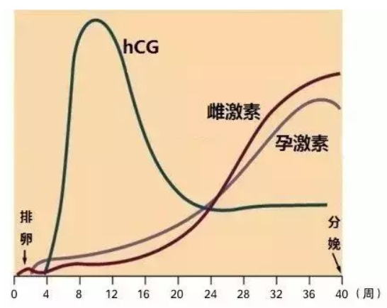 吃孕激素孕酮還是低怎么辦 孕酮低一定要孕酮嗎 吃孕激素孕酮還是低怎么辦 孕酮低一定要孕酮嗎