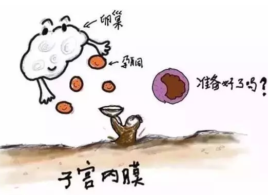 吃孕激素孕酮還是低怎么辦 孕酮低一定要孕酮嗎 吃孕激素孕酮還是低怎么辦 孕酮低一定要孕酮嗎