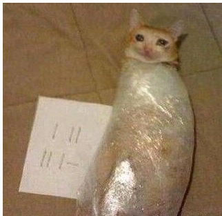 被蚊子咬了的搞笑段子 蚊子咬了之后心情調侃 被蚊子咬了的搞笑段子 蚊子咬了之后心情調侃