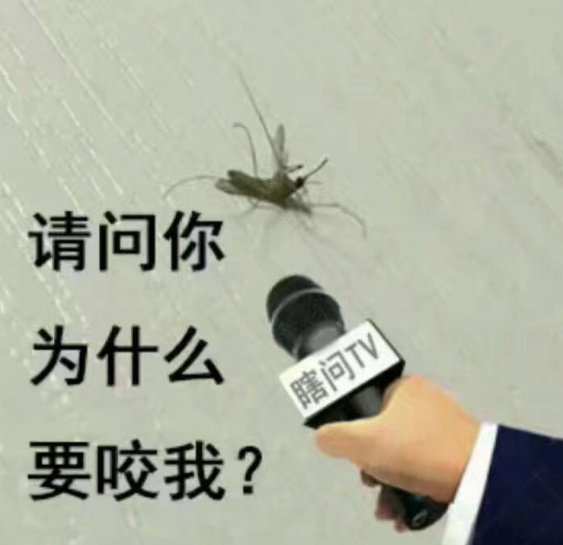 被蚊子咬了的搞笑段子 蚊子咬了之后心情調侃 被蚊子咬了的搞笑段子 蚊子咬了之后心情調侃