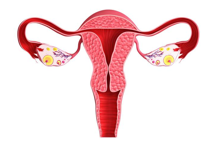 卵巢功能衰退還能自然懷孕嗎 怎么判斷卵巢功能好不好 卵巢功能衰退還能自然懷孕嗎 怎么判斷卵巢功能好不好