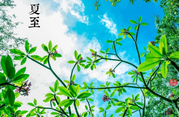 2019今日夏至發說說句子 夏至朋友圈配圖說說大全 2019今日夏至發說說句子 夏至朋友圈配圖說說大全