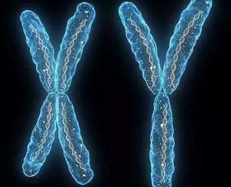 ?胚胎停止發育的原因是什么 發生胎兒停育后應該怎么辦