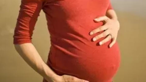 備孕排卵期如何安排同房 排卵期怎么安排同房次數(shù)