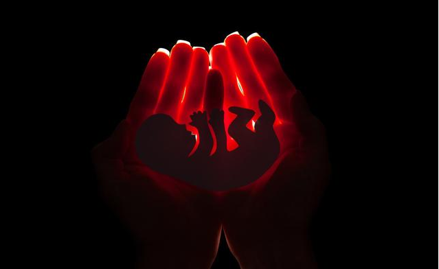 有胎心胎芽也會胎停育嗎 胎心胎芽是同時出現的嗎 有胎心胎芽也會胎停育嗎 胎心胎芽是同時出現的嗎