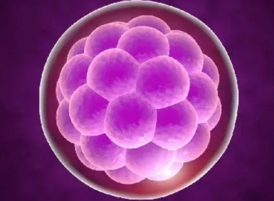 預(yù)防宮外孕的運動有哪些 跳繩能夠預(yù)防宮外孕嗎