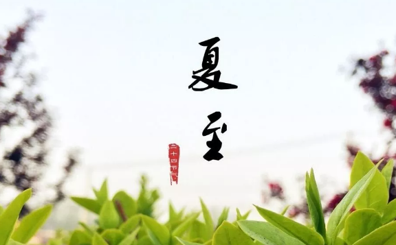 今日夏至節氣心情說說 夏至發朋友圈句子