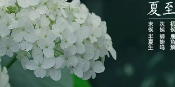 2019夏至節氣唯美心情說說 夏至好聽正能量句子 2019夏至節氣唯美心情說說 夏至好聽正能量句子