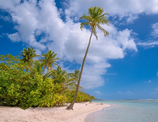 今日夏至到了說說句子 夏至到心情正能量句子