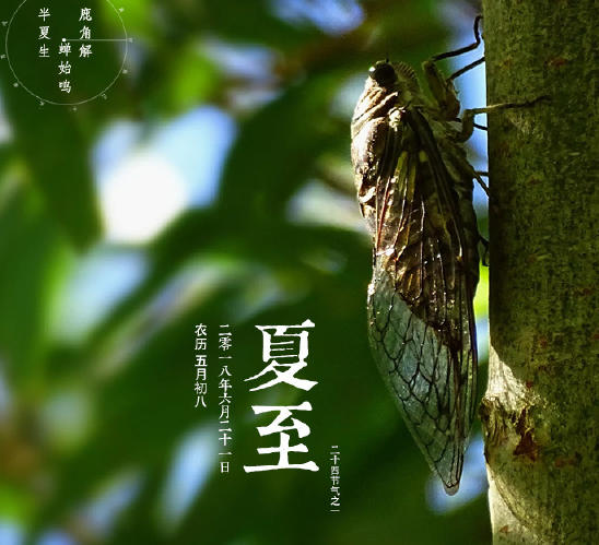 2019夏至到來了的說說 立夏節氣到了句子短語