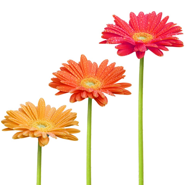 怎么引導孩子認識顏色 教育孩子認識顏色有什么方法