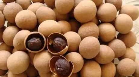 龍眼孕婦能不吃 孕婦吃龍眼要注意什么